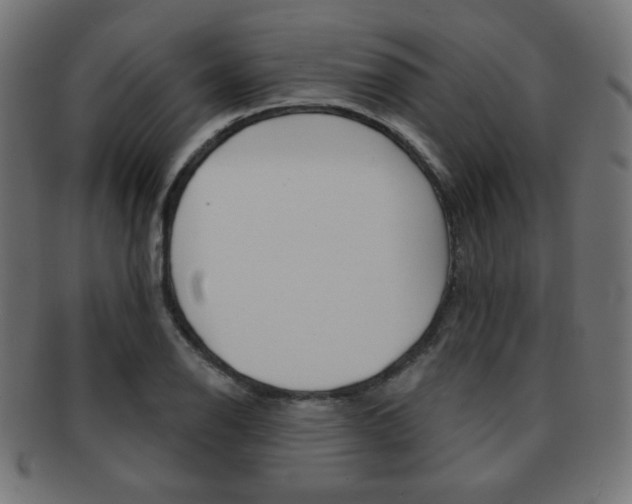 X0000092011126200709061303