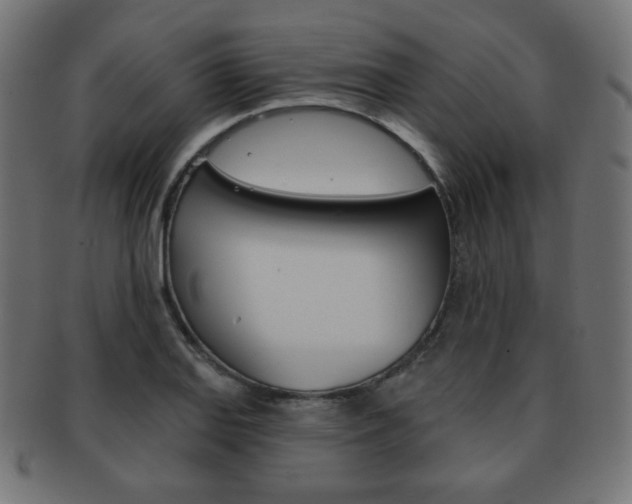 X0000092011127200709061303