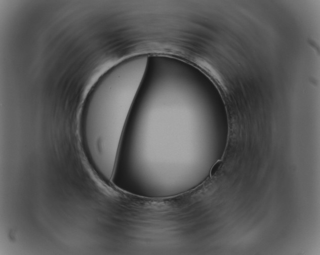 X0000092011128200709061303