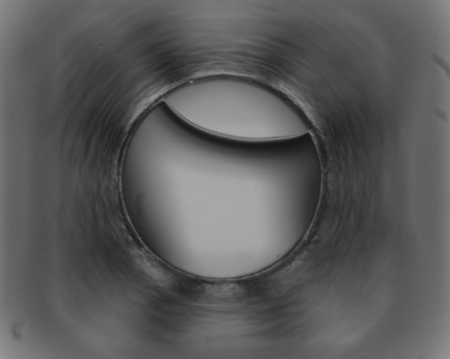 X0000092011129200709061303