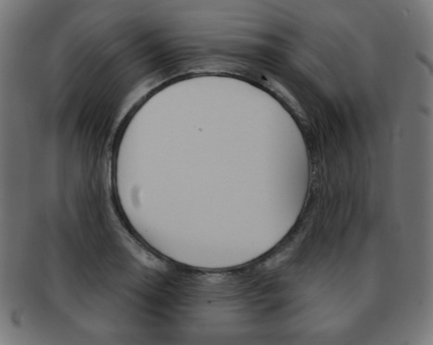 X0000092011130200709061303