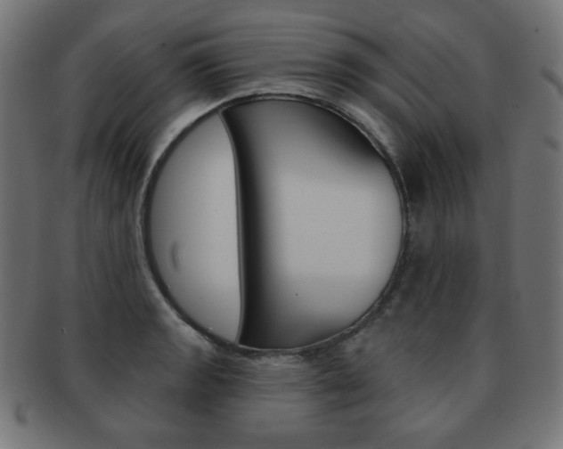 X0000092011133200709061303
