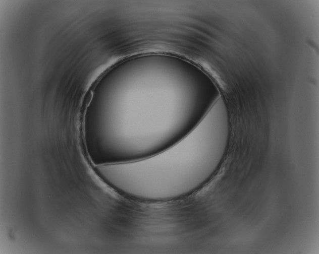 X0000092011134200709061303
