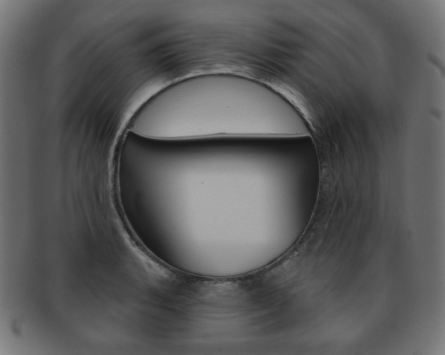 X0000092011135200709061303