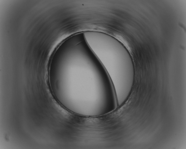 X0000092011136200709061303