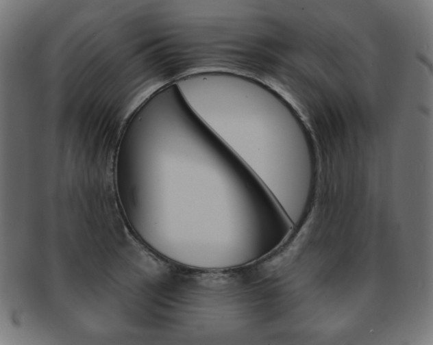 X0000092011137200709061303