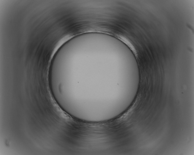 X0000092011138200709061303