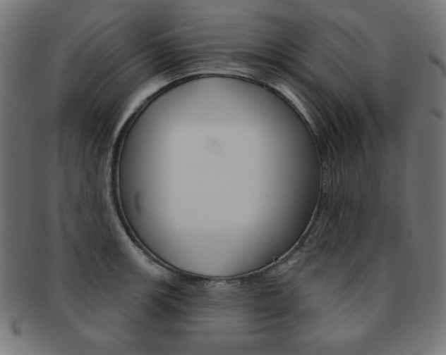 X0000092011139200709061303