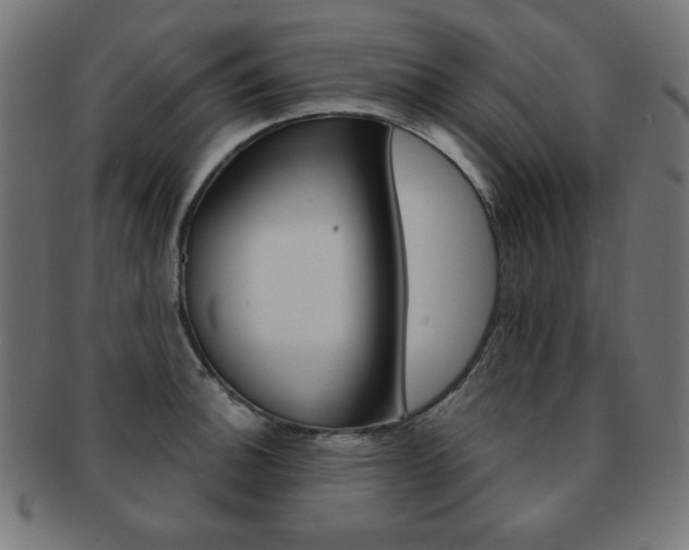 X0000092011140200709061303