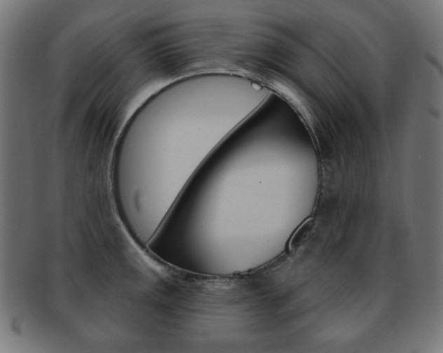 X0000092011141200709061303