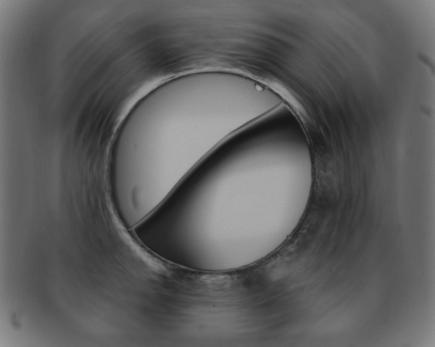 X0000092011142200709061304