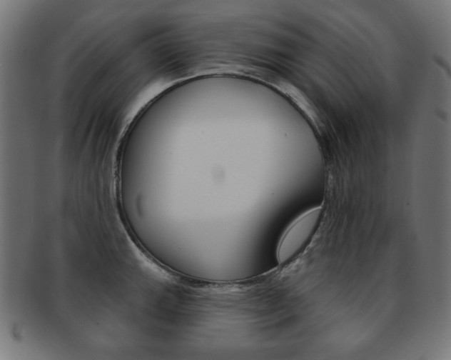 X0000092011143200709061304