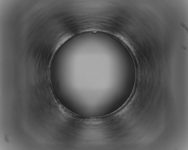X0000092011145200709061304