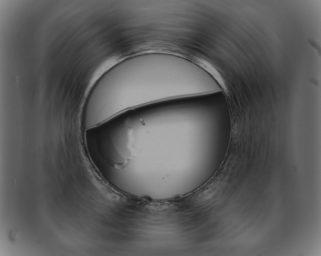 X0000092011146200709061304