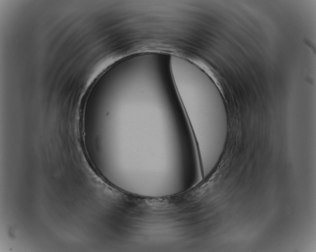 X0000092011147200709061304