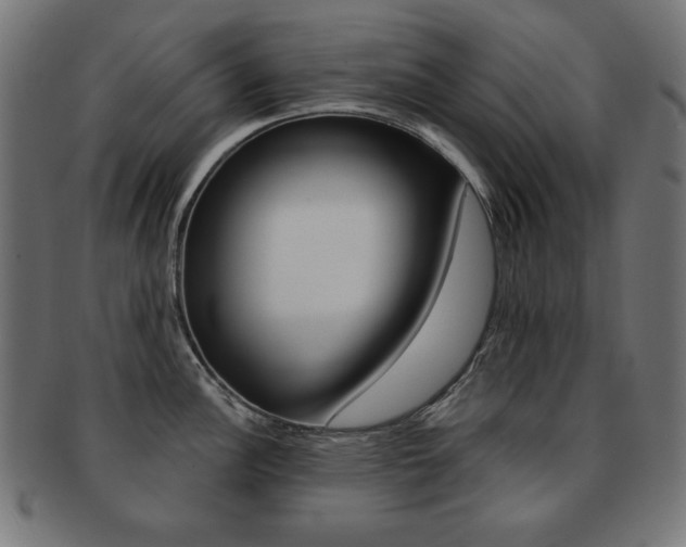 X0000092011148200709061304