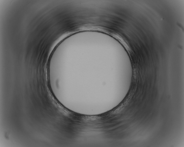 X0000092011150200709061304