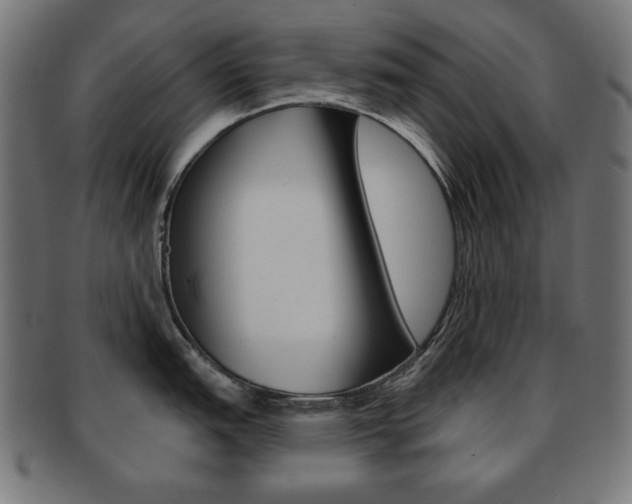 X0000092011151200709061304