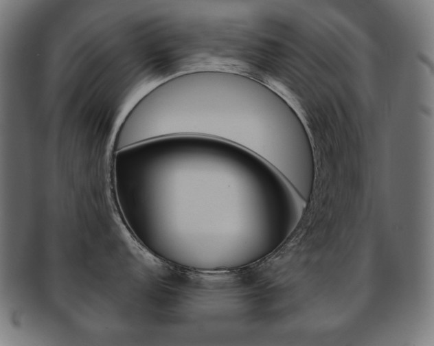 X0000092011152200709061304