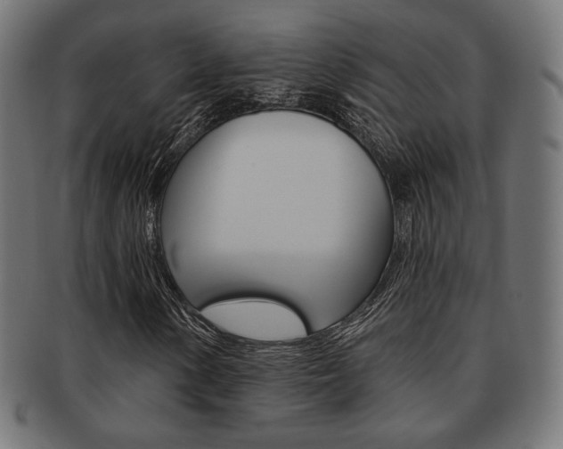 X0000092011154200709061303