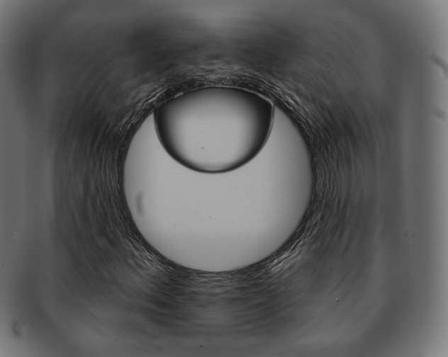X0000092011156200709061303