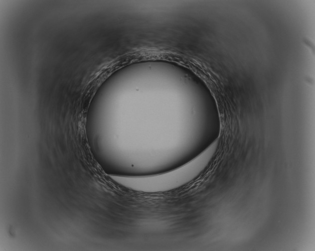 X0000092011157200709061303