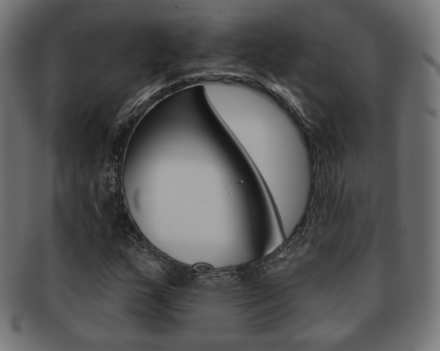 X0000092011159200709061303