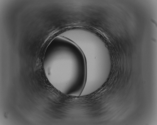 X0000092011160200709061303