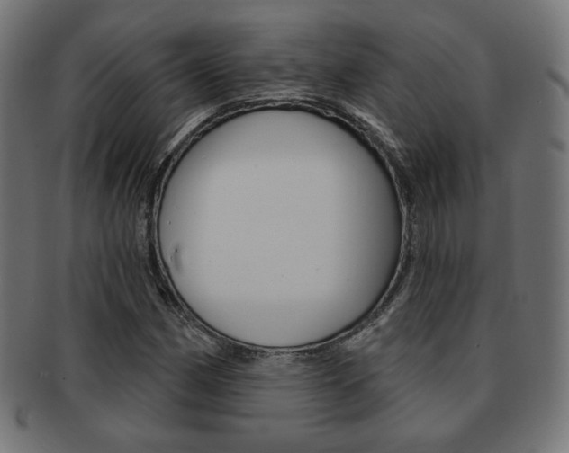 X0000092011162200709061303