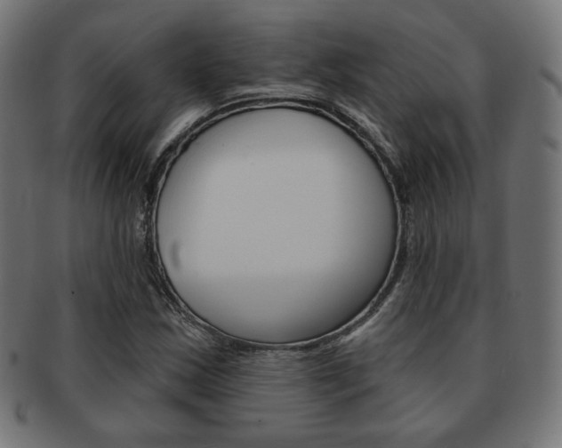 X0000092011163200709061303
