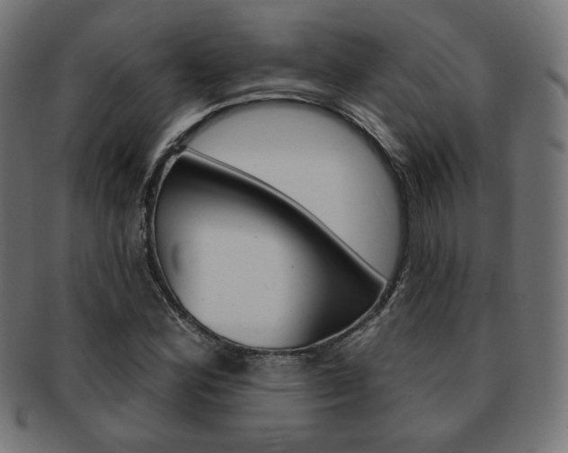 X0000092011164200709061303