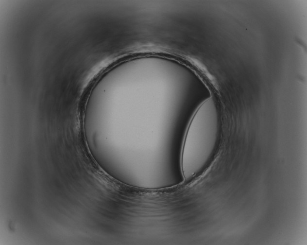 X0000092011167200709061303