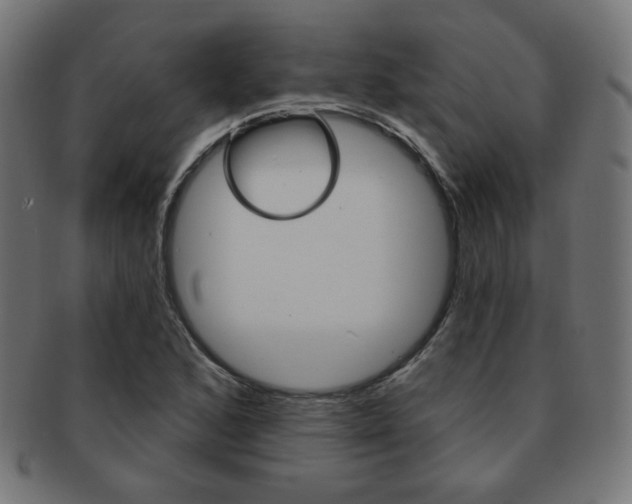 X0000092011168200709061303