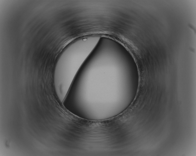 X0000092011169200709061303