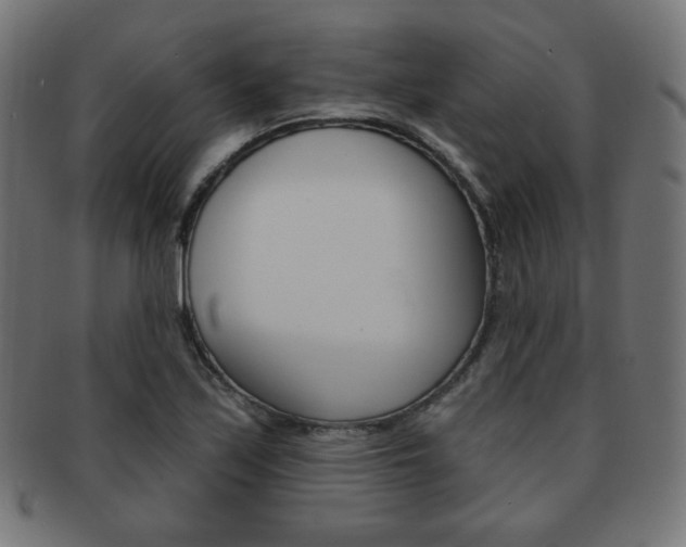 X0000092011171200709061303