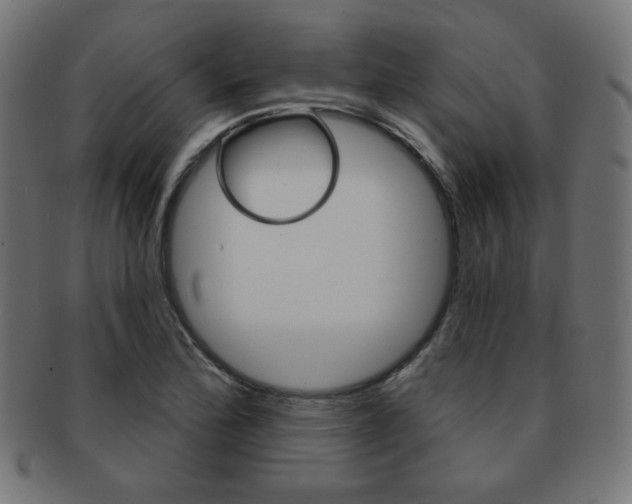 X0000092011172200709061303