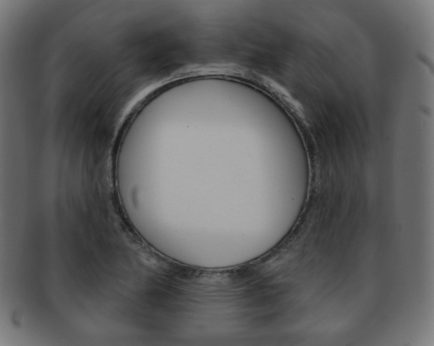 X0000092011174200709061303