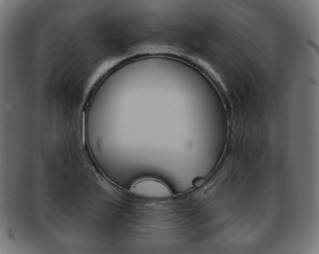 X0000092011175200709061303