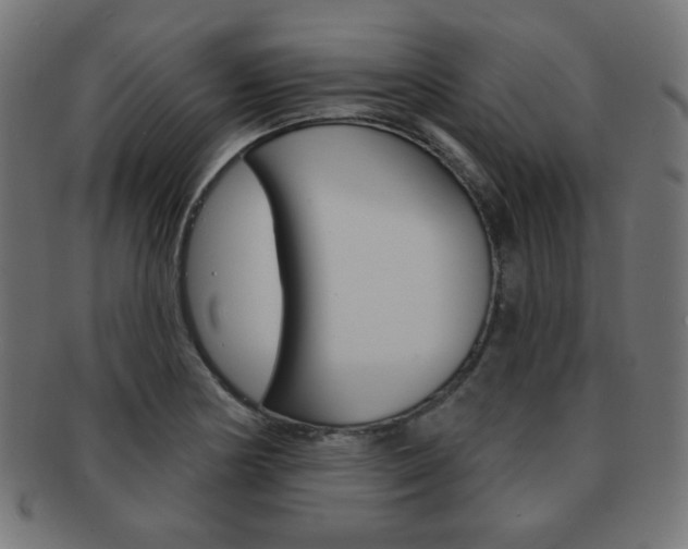 X0000092011178200709061303