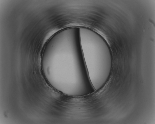 X0000092011179200709061303