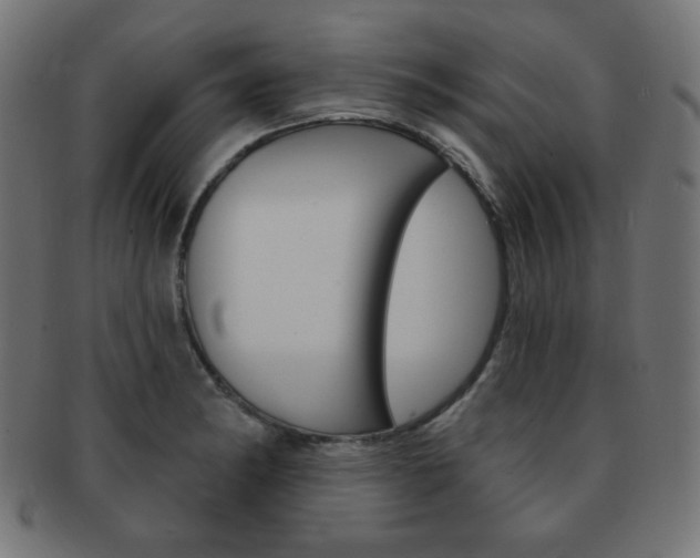 X0000092011182200709061303
