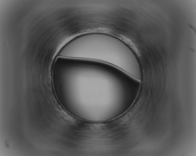 X0000092011184200709061303