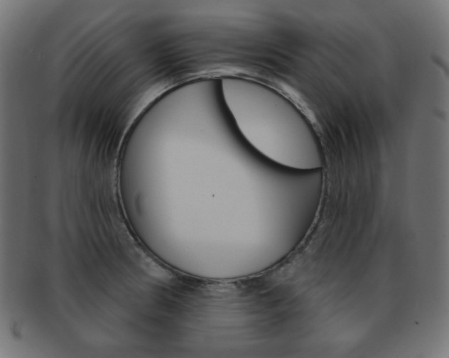 X0000092011186200709061303