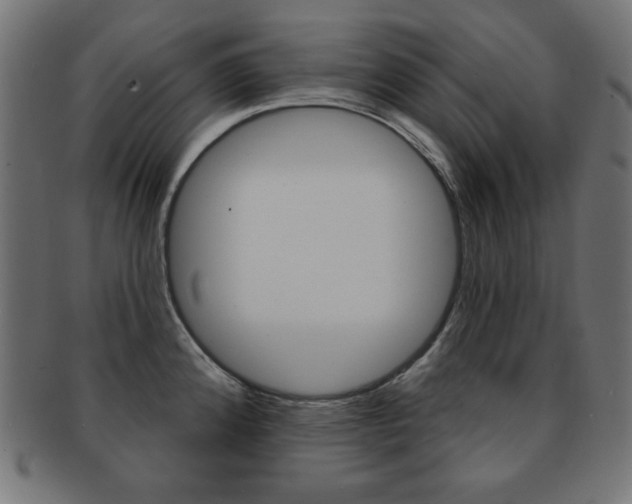X0000092011192200709061302