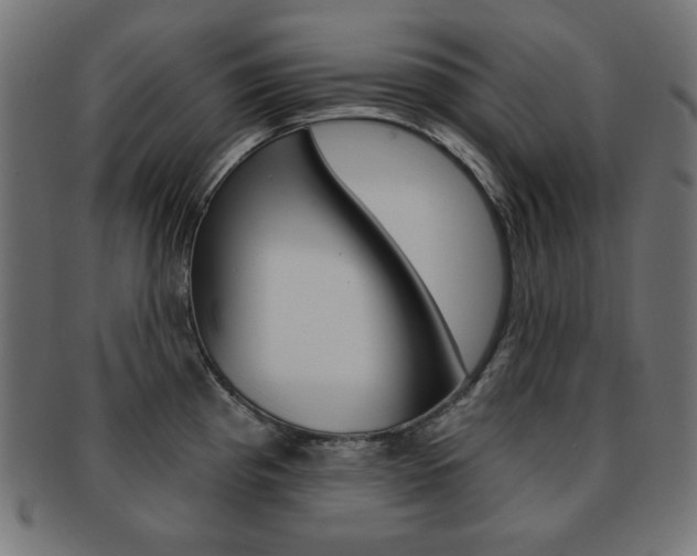 X0000092011193200709061302