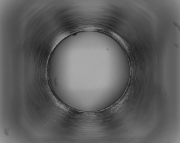 X0000092011194200709061302