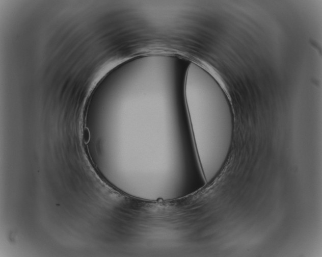 X0000092011195200709061302