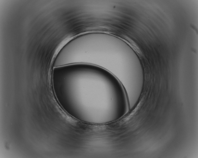 X0000092011196200709061302