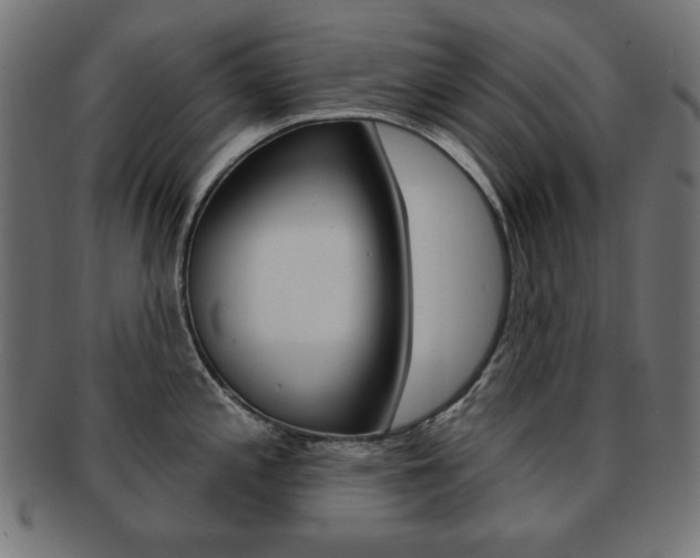 X0000092011197200709061302
