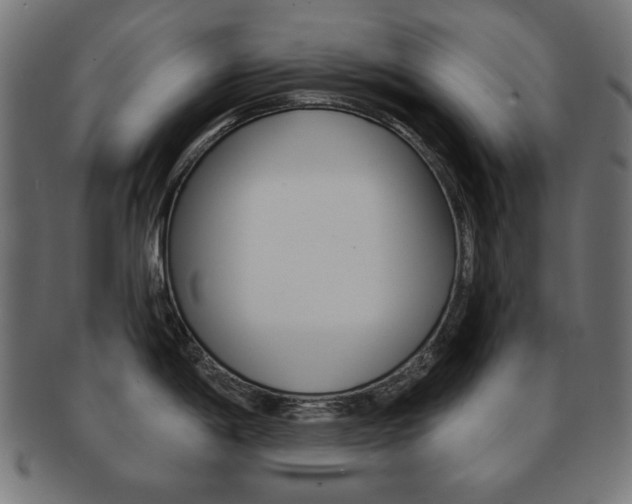 X0000092011198200709061302